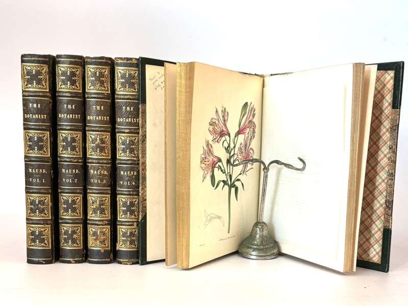 The Botanist; Containing Accurately Coloured Figures, of Tender and Hardy Ornamental Plants; with...