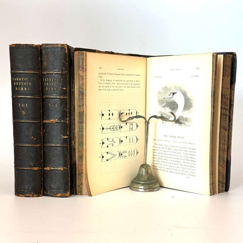 The Botanist; Containing Accurately Coloured Figures, of Tender and Hardy Ornamental Plants; with...