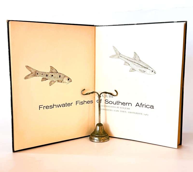 Freshwater Fishes of Southern Africa. - Jubb, R A