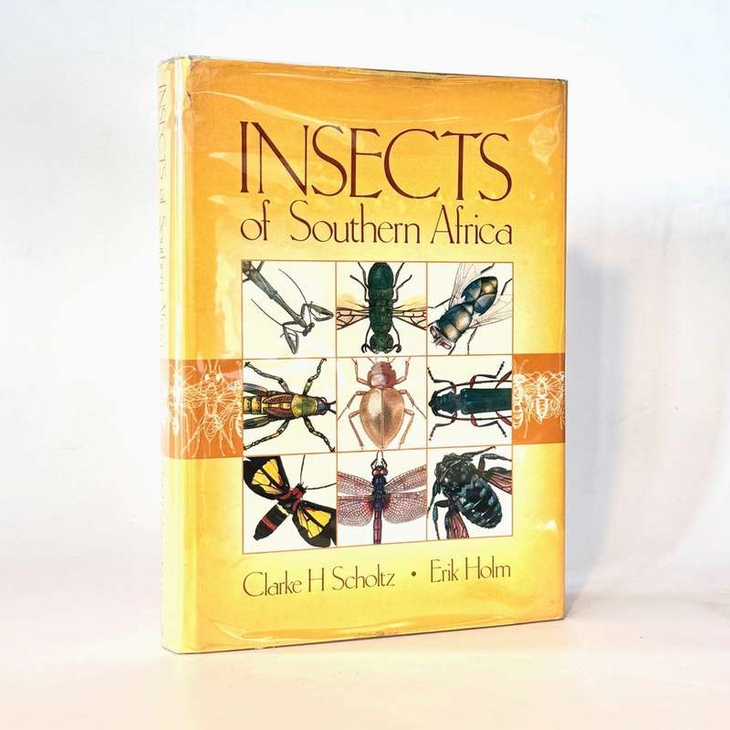 Insects of Southern Africa - Scholtz, Clarke H & Holm, Erik (Eds)