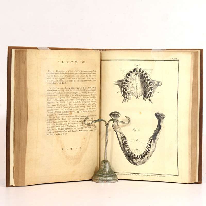 The Natural History of the Human Teeth: Explaining their Structure, Use, Formation, Growth, and D...