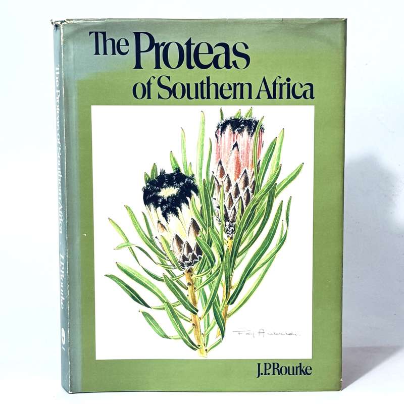 The Proteas of Southern Africa - Rourke, J.P.