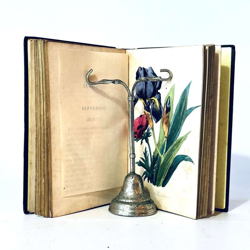 Le Langage Des Fleurs - De La Tour, Charlotte