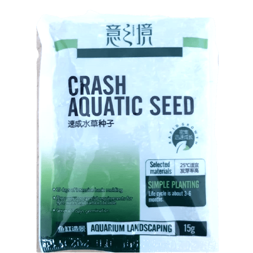Hemianthus callitrichoides Seeds