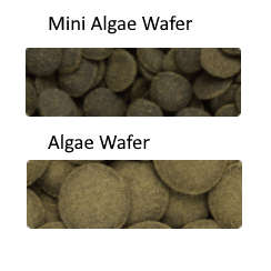 Hikari Tropical Algae Wafers 40g