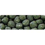 HIKARI CICHLID STAPLE LARGE - 250gr