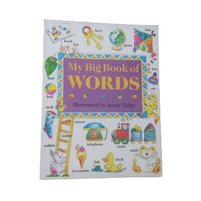 My Big Book Of Words - Illustrated by Jenny Tulip