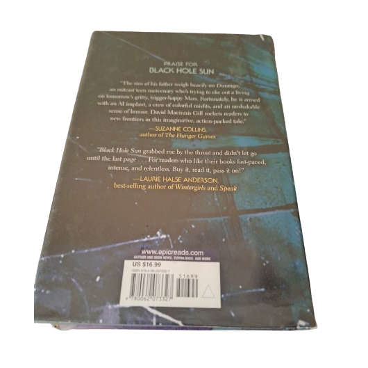 Invisible Sun - David Macinnis Gill