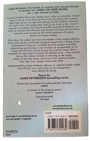 The Lake House - James Patterson