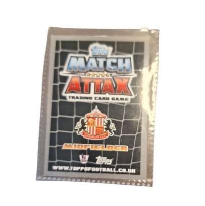 2011/2012 Topps Match Attax Common Card - 265 - Craig Gardner - Sunderland