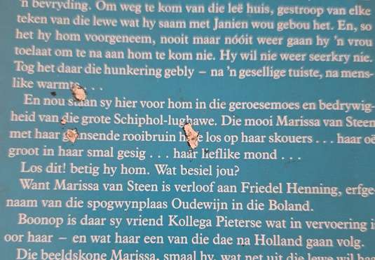 Joernaal van n Winter Jaar - Helena de Kock
