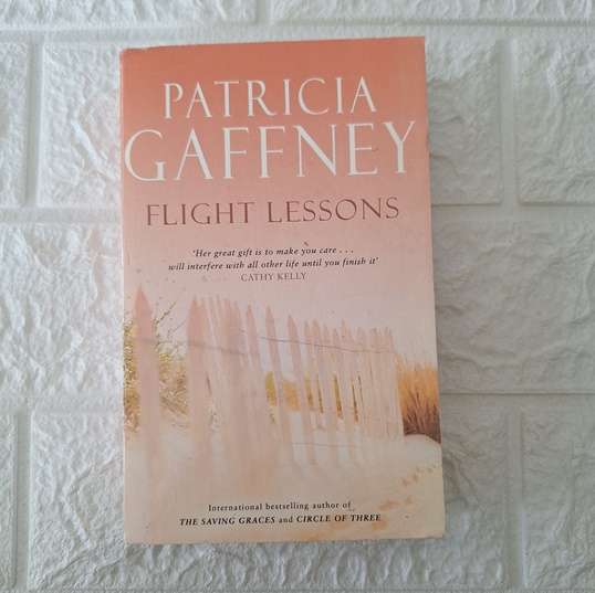 Flight Lessons - Patricia Gaffney