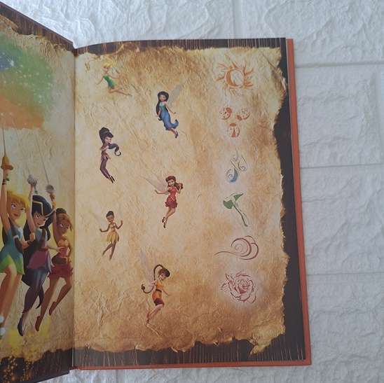 The Pirate Fairy and The Princess and the Frog - Disney Bookclub