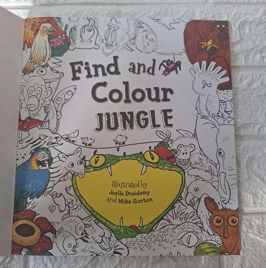 Find and Colour - Jungle Book