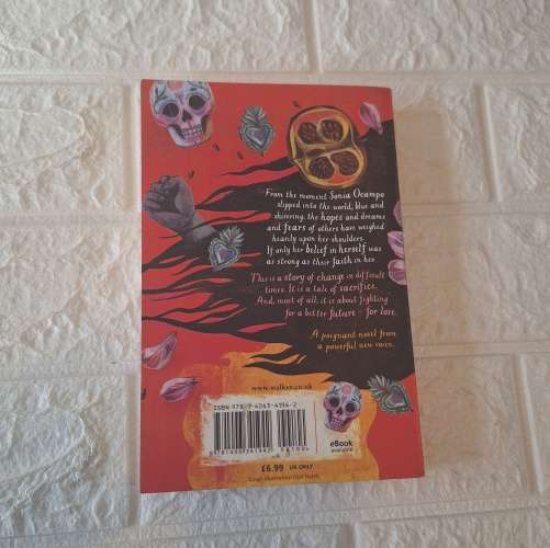 The Girl Who Silenced the Wind - Meg Medina
