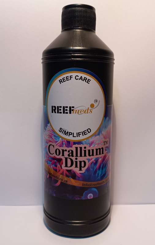 Corallium Dip
