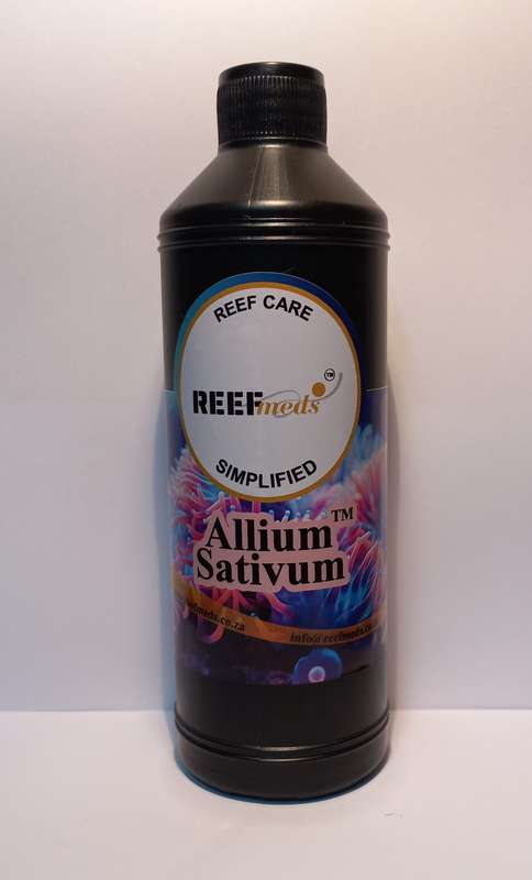 Allium Sativum