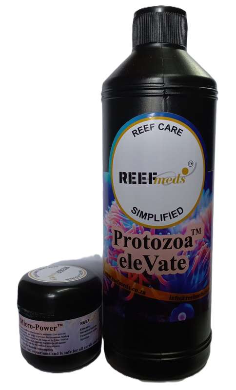 REEfmeds Bacteria Bundle