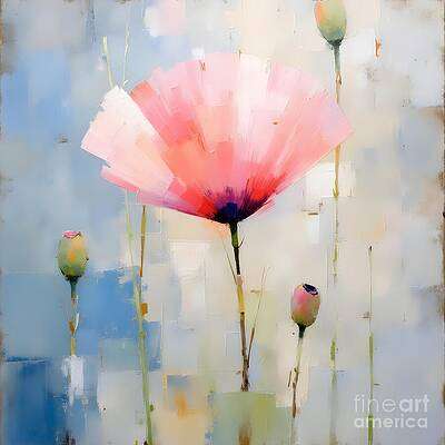 Dreamy Delicate Pink Poppy [d]