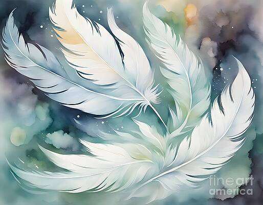 Feathers Floating Gracefully [d]