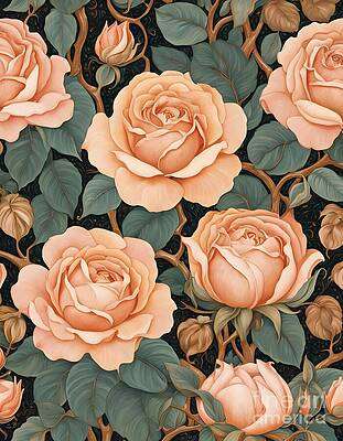 Large Soft Peach Roses [d]