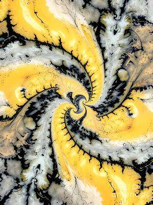 Nautilus Fractal[d]