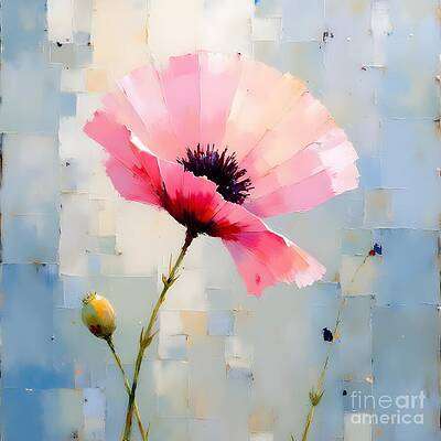 Pink Poppy and Pod [d]