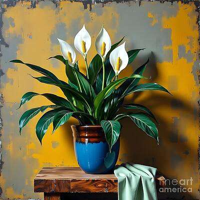 Spathiphyllum in an Ochre Setting [d]