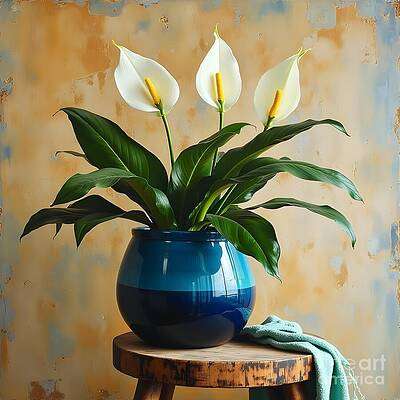 Spathiphyllum on Rustic Table [d]