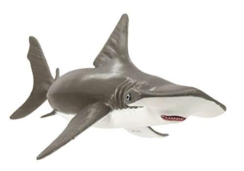 Safari Ltd Incredible Creatures Collection   Hammerhead Shark Baby   Realistic Hand Painted Toy Figu