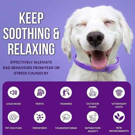Dog Calming Collar Pheromone - Anti Anxiety, Anti Stress and Calming Dogs