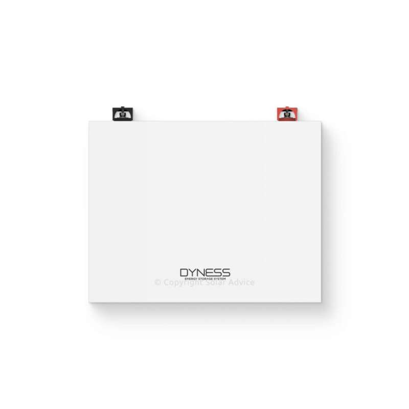 Dyness 4.8kWh BX48100 Lithiumion Battery  45kg