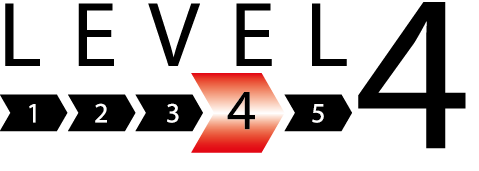 Level 4