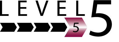 Level 5