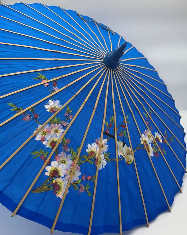 Chinese Parasol Blue
