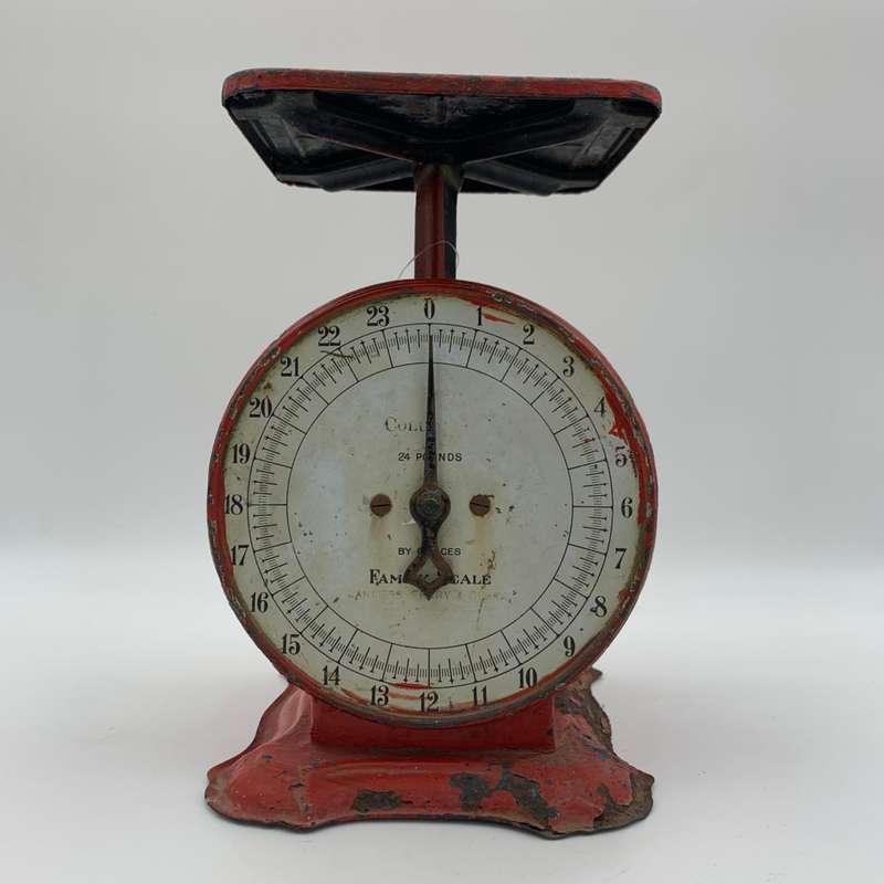 Scale