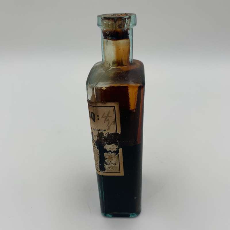 Hamamelids Bottle
