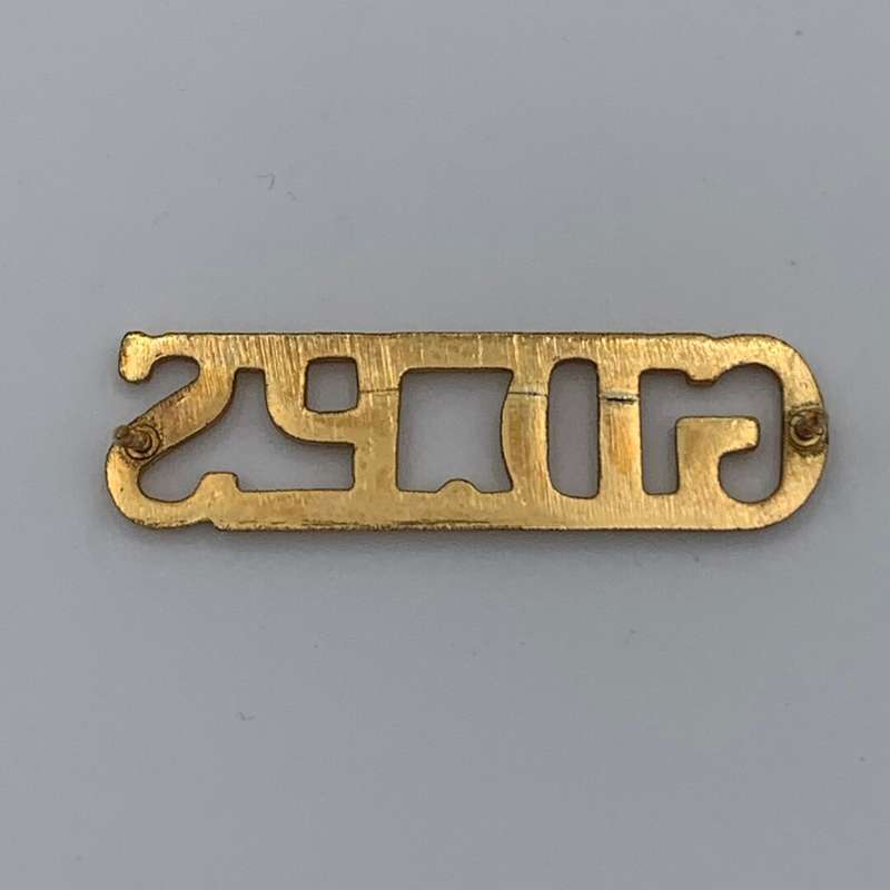 South African Prison Service Shoulder Title