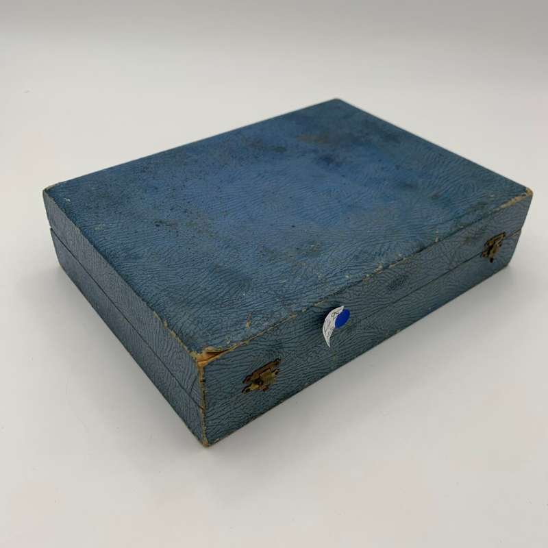 EPNS Fruit Set in Blue Case