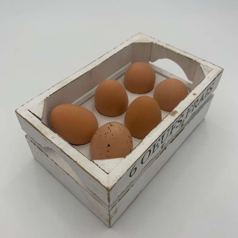 Egg Holder