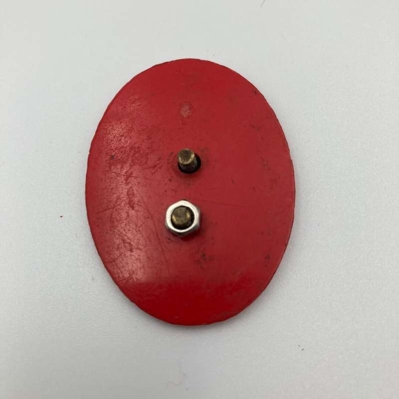 4 SAI Cap/ Beret Badge