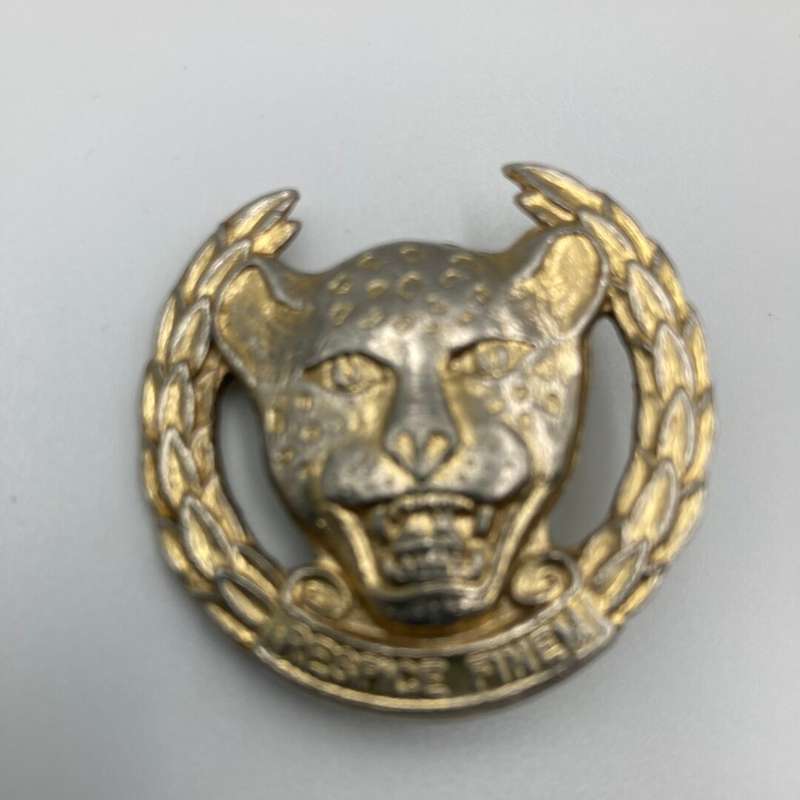 10 SAI Belt/ Cap Badge