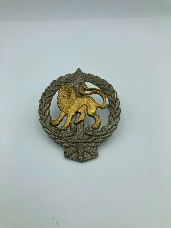 Regiment Hillcrest Cap Badge