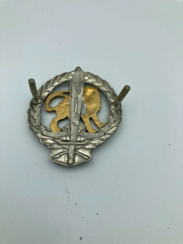 Regiment Hillcrest Cap Badge