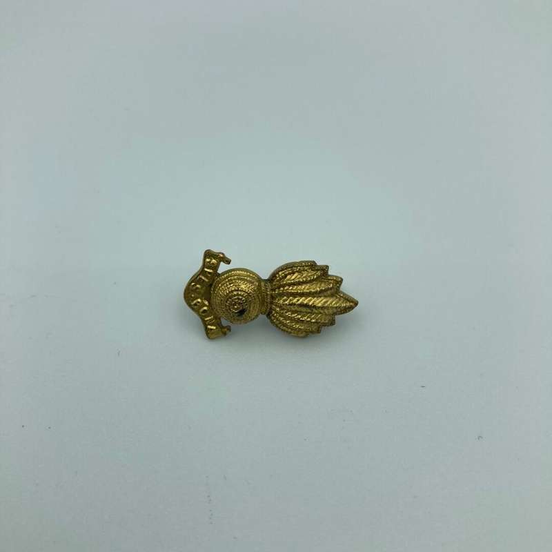 Cape Field Artillery Gilt Metal Mess Dress Collar Badge