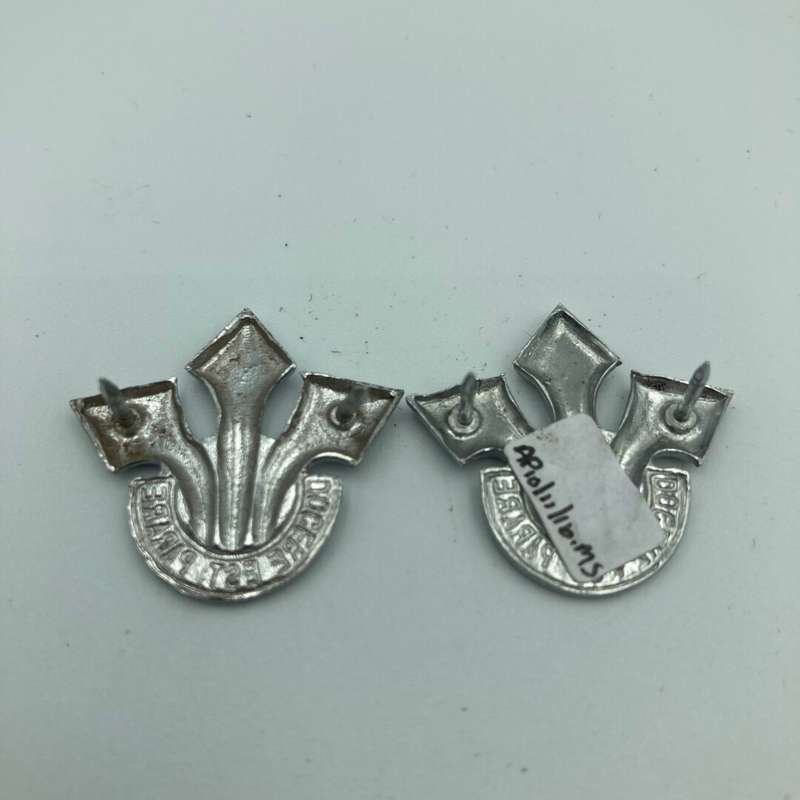 Corps of Professional Officers Collar Set