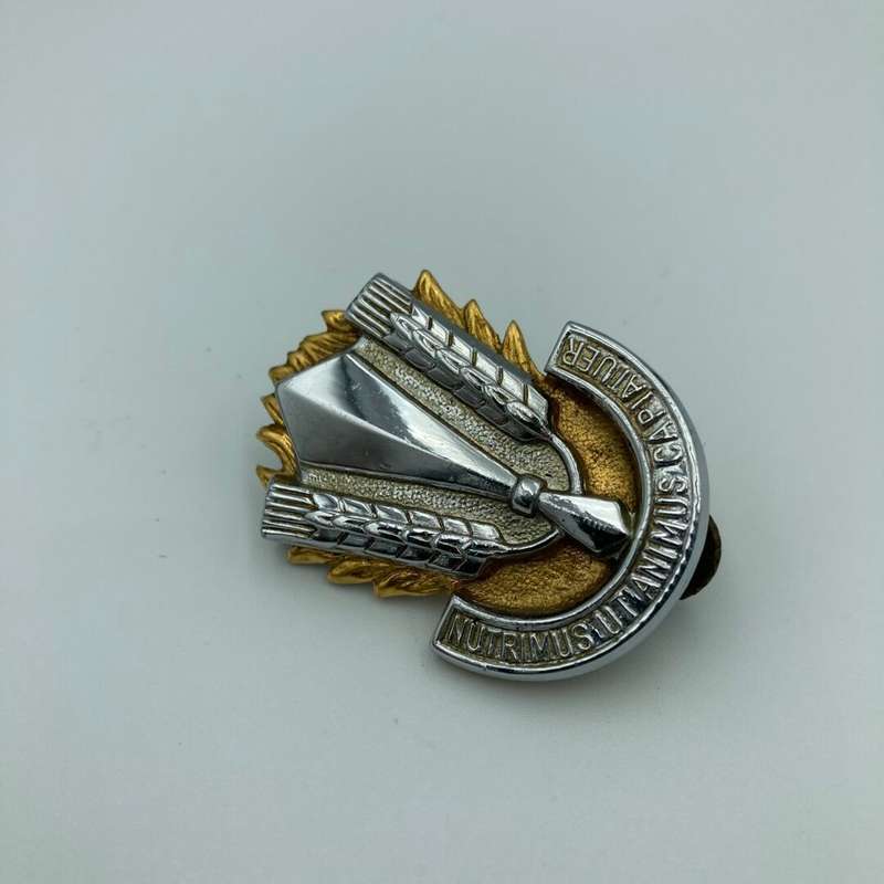 SA Catering Corps Cap Badge