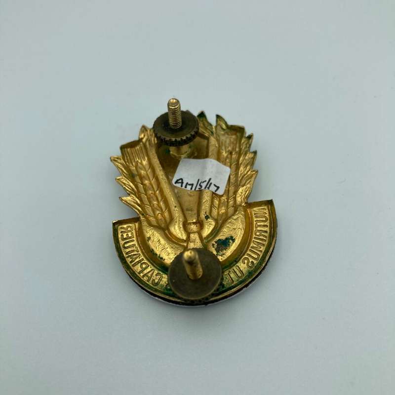 SA Catering Corps Cap Badge