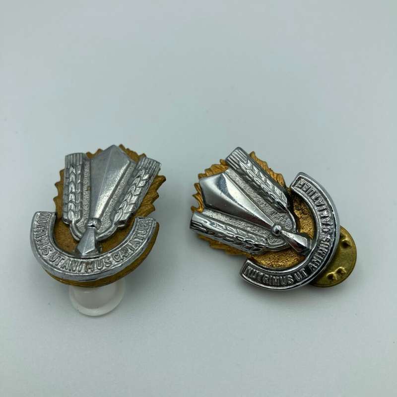 SA Catering Corps Collar Set