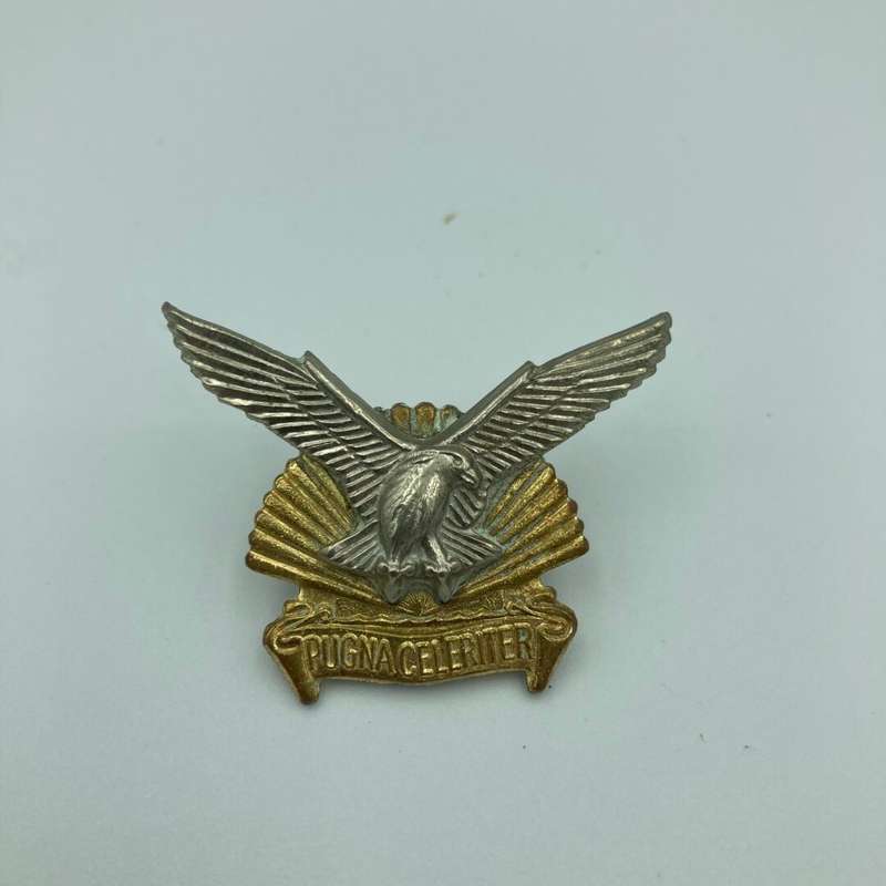 Durban Regiment Collar Badge